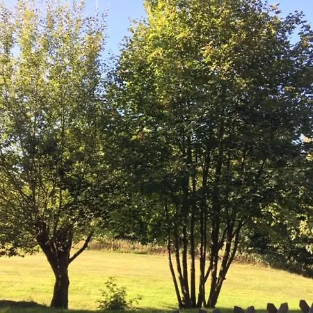 Emotion Zentrumsnah Für Bis Zu 6 Personen Winterberg