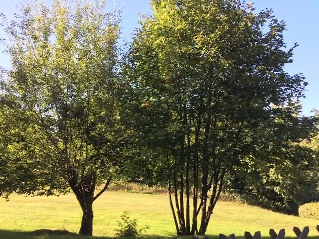 Emotion Zentrumsnah Fuer Bis Zu 6 Personen Winterberg